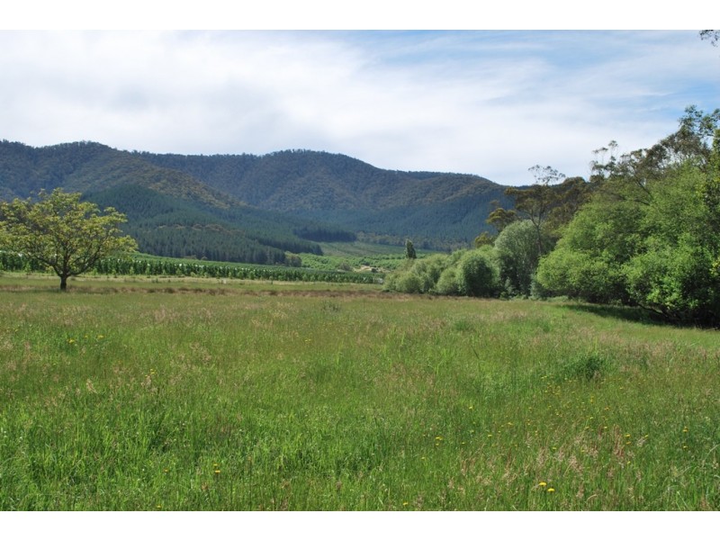 Lot 1 Morses Creek Road, Wandiligong VIC 3744