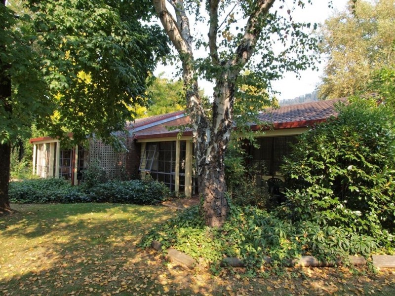 14 Gavan Street, Bright VIC 3741