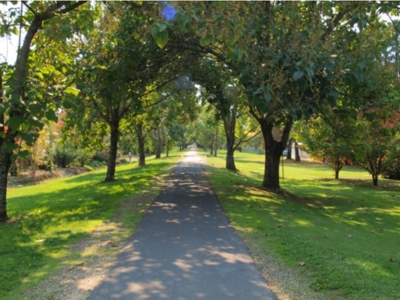 14 Gavan Street, Bright VIC 3741