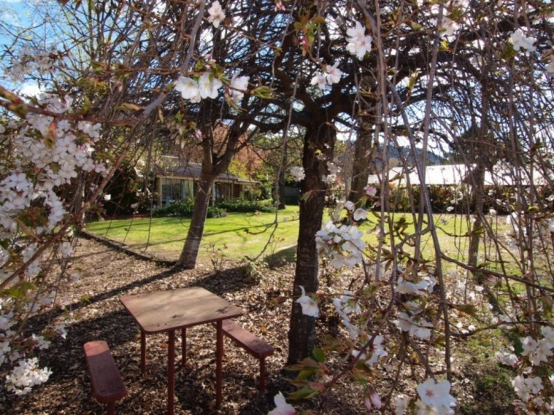 14 Gavan Street, Bright VIC 3741