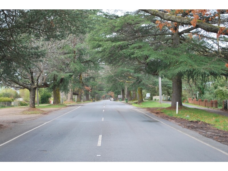 42 Delany Avenue, Bright VIC 3741