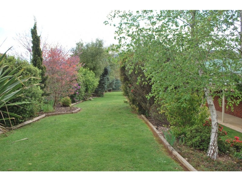 15 Walnut Grove, Bright VIC 3741