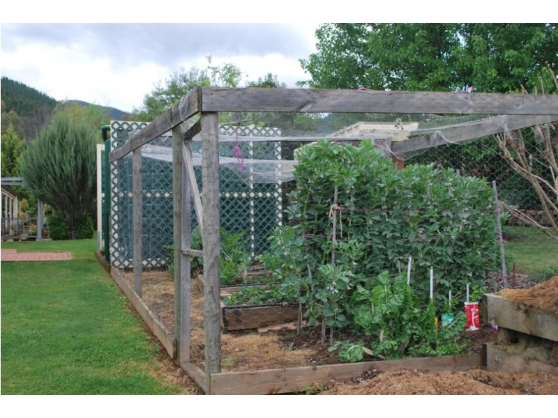 15 Walnut Grove, Bright VIC 3741