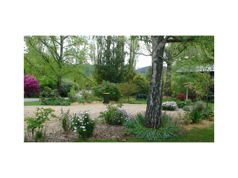 6 Wood St, Bright VIC 3741