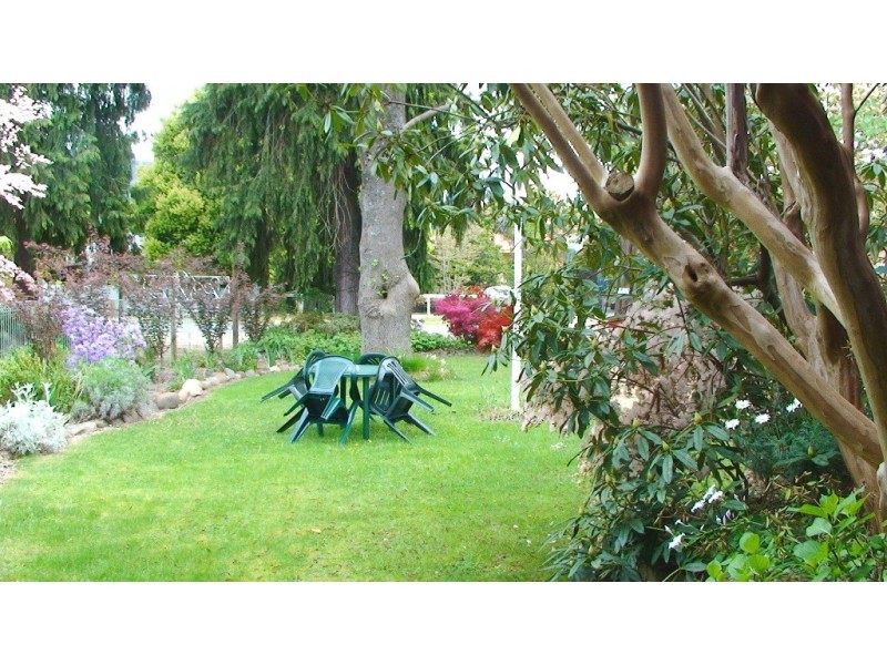 6 Wood St, Bright VIC 3741