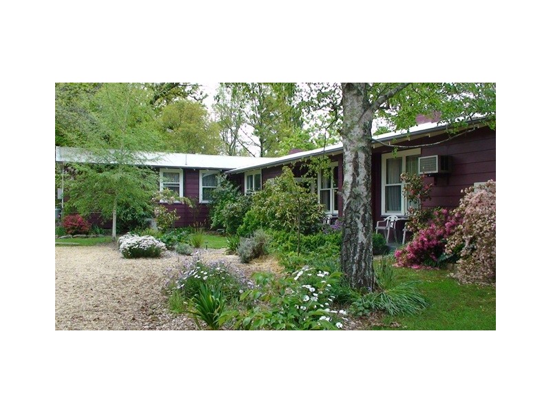 6 Wood St, Bright VIC 3741