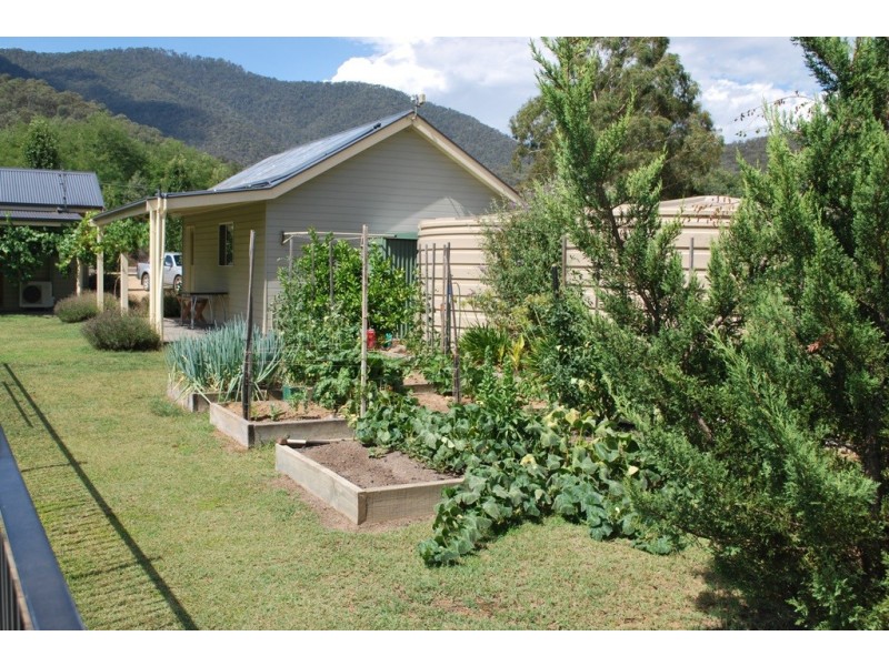 906 Great Alpine Road, Freeburgh VIC 3741