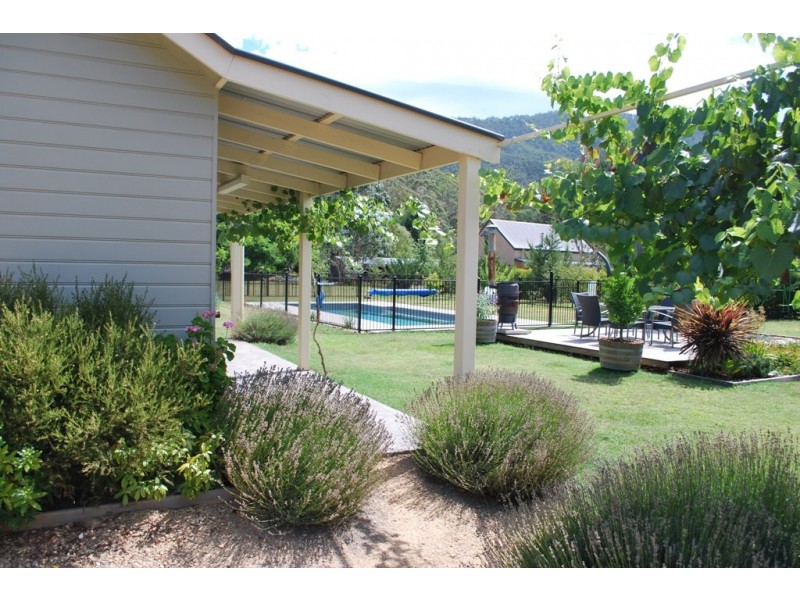 906 Great Alpine Road, Freeburgh VIC 3741