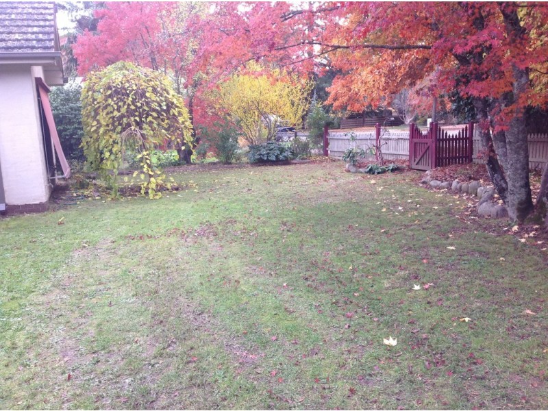 76 Delany Ave, Bright VIC 3741