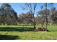 28 Stoney Creek Road, Gapsted VIC 3737