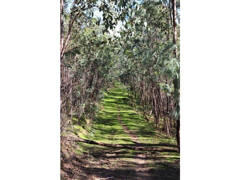 CA 11 Switchback Road, Mudgegonga VIC 3737