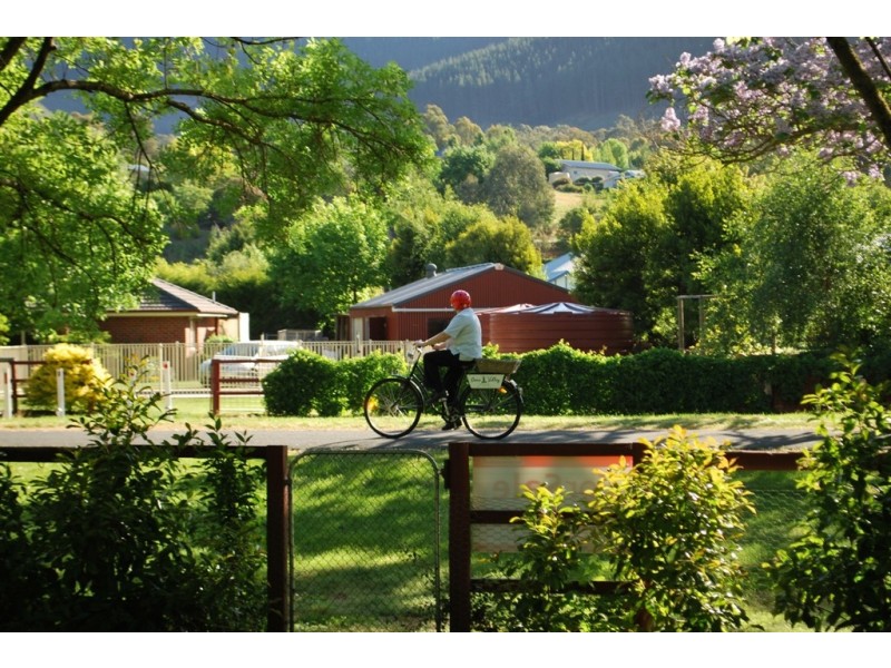 14 Gavan Street, Bright VIC 3741