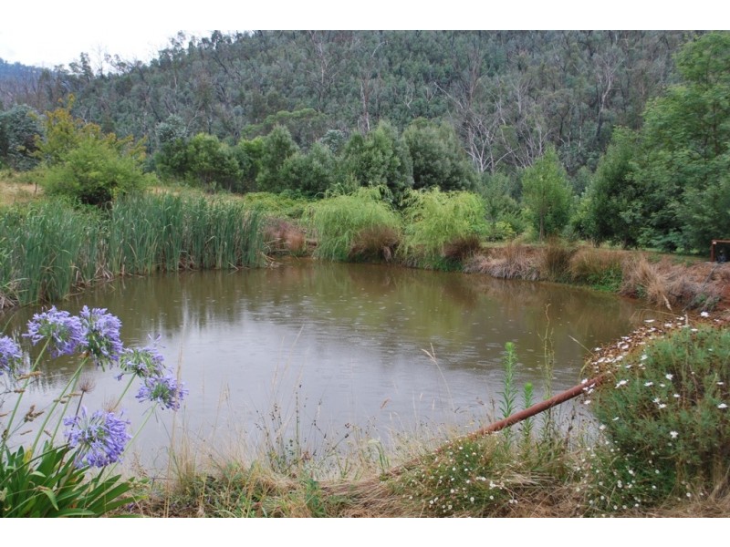 325 Myrtleford – Stanley Road, Mudgegonga VIC 3737