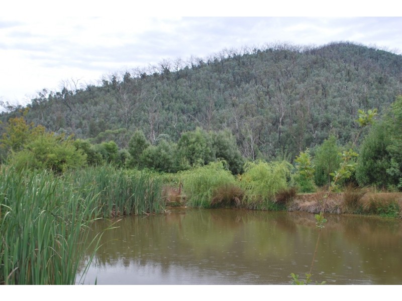 325 Myrtleford – Stanley Road, Mudgegonga VIC 3737