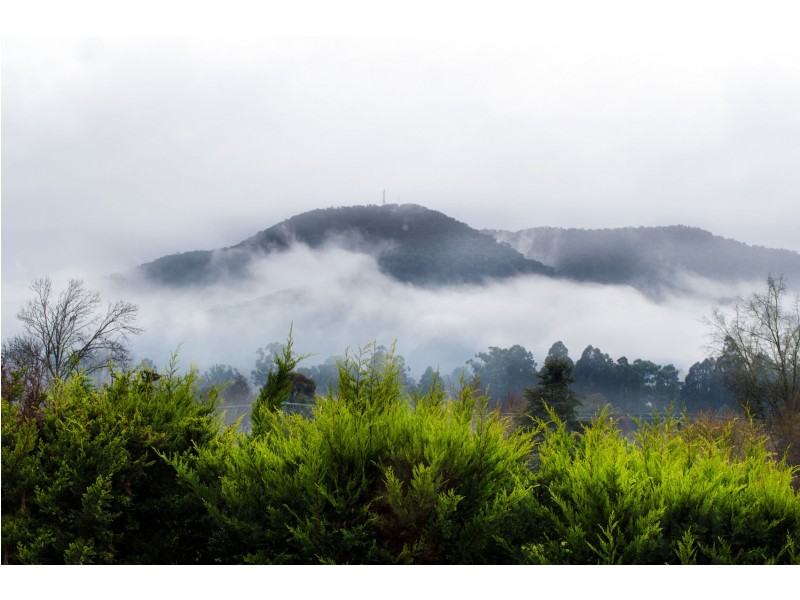 4 Leader Reef Drive, Bright VIC 3741