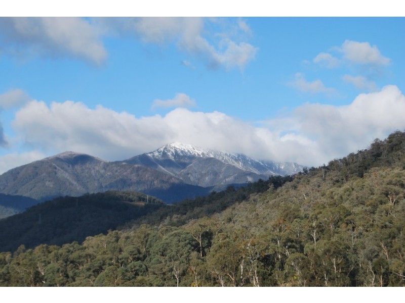 217 Simmonds Creek Road, Tawonga South VIC 3698