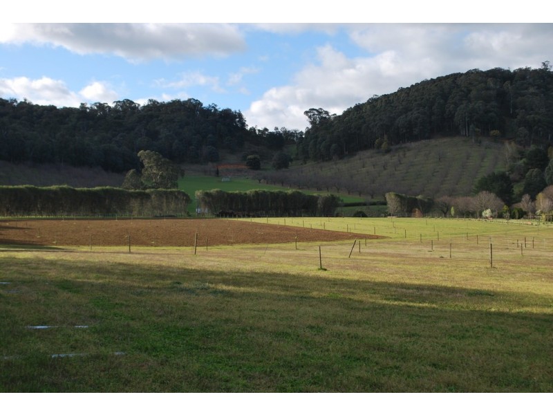 217 Simmonds Creek Road, Tawonga South VIC 3698