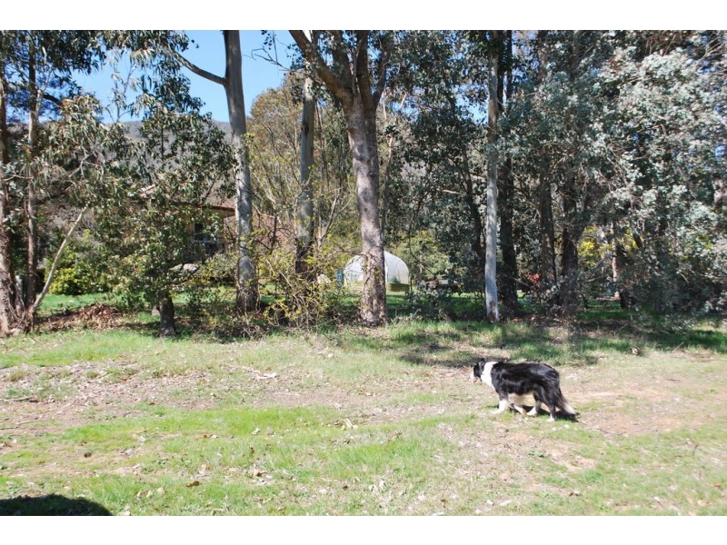 11 Shepheards Lane, Wandiligong VIC 3744