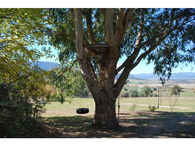 997 Carrolls Road, Rosewhite VIC 3737