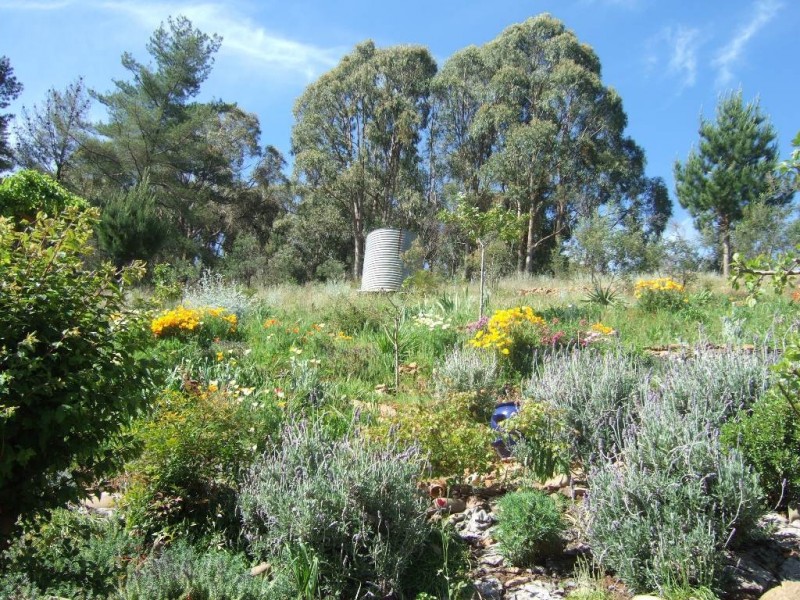 5571 Great Alpine Road, Ovens VIC 3738