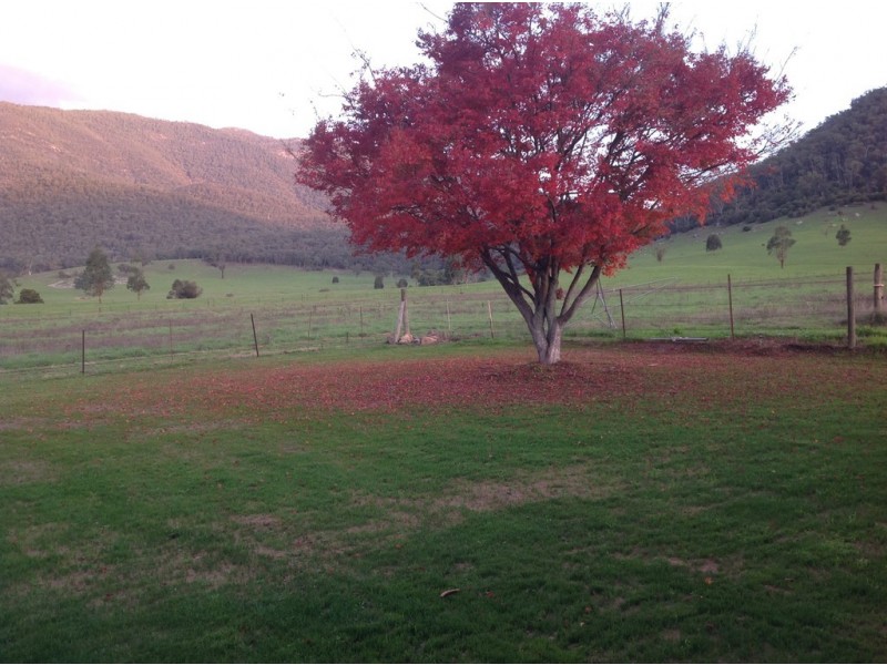 35 Menz Road, Nug Nug VIC 3737