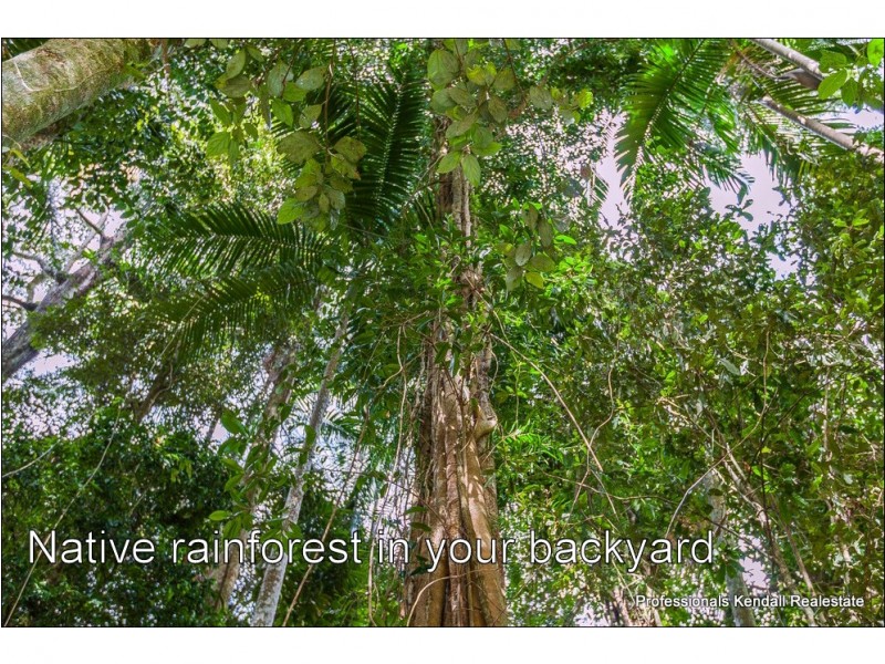 18 Long Road, Tamborine Mountain QLD 4272