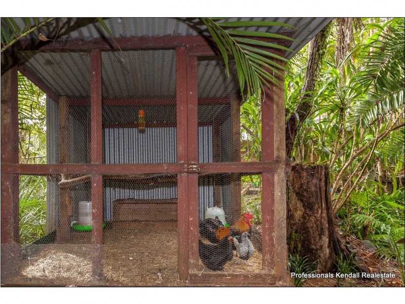 20 Forsythia Drive, Tamborine Mountain QLD 4272