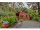 20 Forsythia Drive, Tamborine Mountain QLD 4272