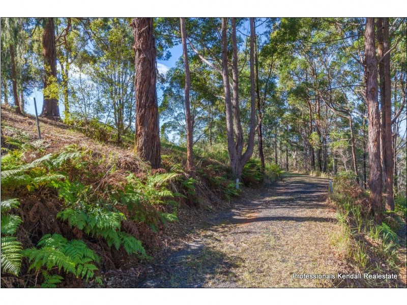 452 Henri Robert Drive, Tamborine Mountain QLD 4272
