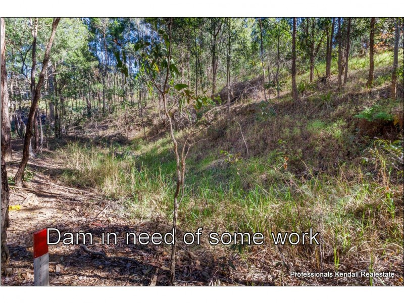 452 Henri Robert Drive, Tamborine Mountain QLD 4272
