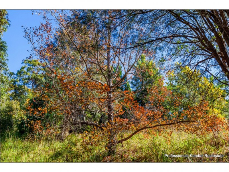 452 Henri Robert Drive, Tamborine Mountain QLD 4272