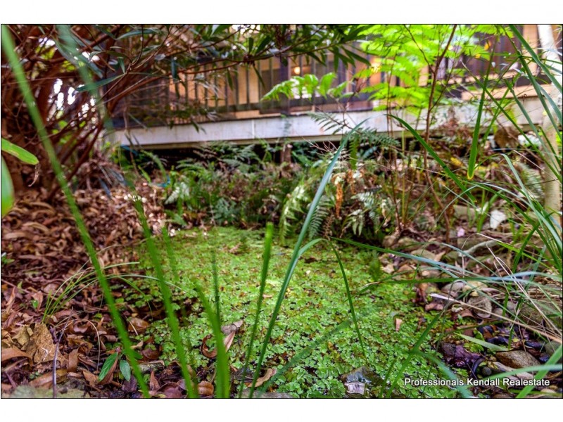 19 Licuala Drive, Tamborine Mountain QLD 4272