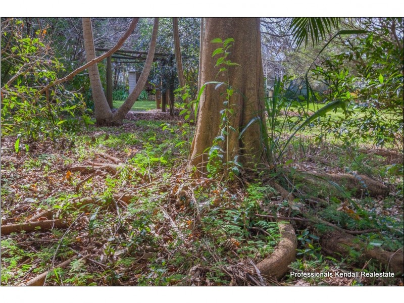 19 Licuala Drive, Tamborine Mountain QLD 4272