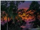 238 Beacon Road, Tamborine Mountain QLD 4272