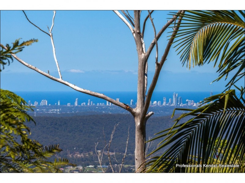 157 Guanaba Rd, Tamborine Mountain QLD 4272