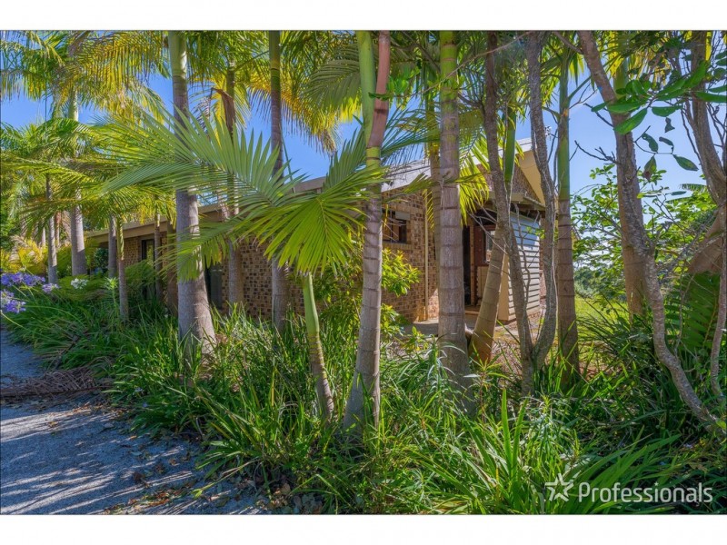 65 Guanaba Rd, Tamborine Mountain QLD 4272