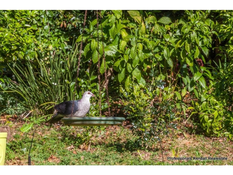 9-11 Chalmette Drive, Tamborine Mountain QLD 4272