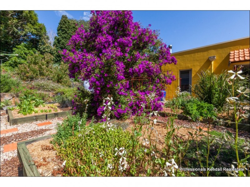 55-57 Sierra Drive, Tamborine Mountain QLD 4272