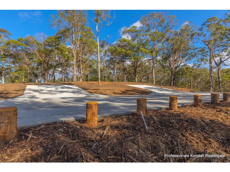 Lot 11/106 Wongawallan Road, Tamborine Mountain QLD 4272