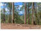 Lot 2/106 Wongawallan Road, Tamborine Mountain QLD 4272
