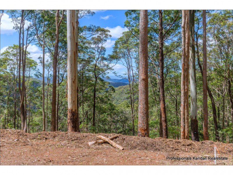 Lot 2/106 Wongawallan Road, Tamborine Mountain QLD 4272