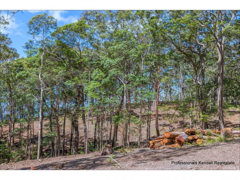 Lot 2/106 Wongawallan Road, Tamborine Mountain QLD 4272