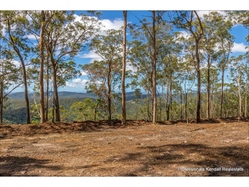 Lot 10/106 Wongawallan Road, Tamborine Mountain QLD 4272