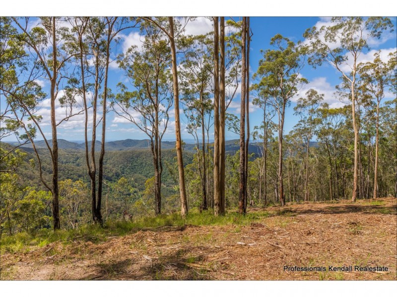 Lot 10/106 Wongawallan Road, Tamborine Mountain QLD 4272