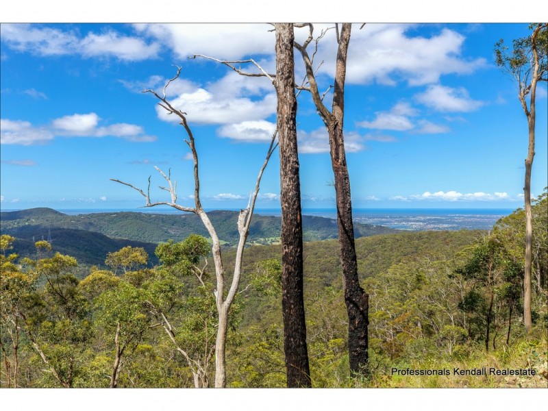 Lot 10/106 Wongawallan Road, Tamborine Mountain QLD 4272