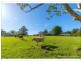 59 Wilson Road, Tamborine Mountain QLD 4272