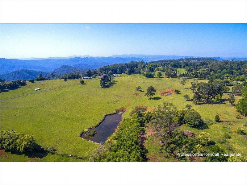 59 Wilson Road, Tamborine Mountain QLD 4272