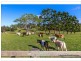 59 Wilson Road, Tamborine Mountain QLD 4272