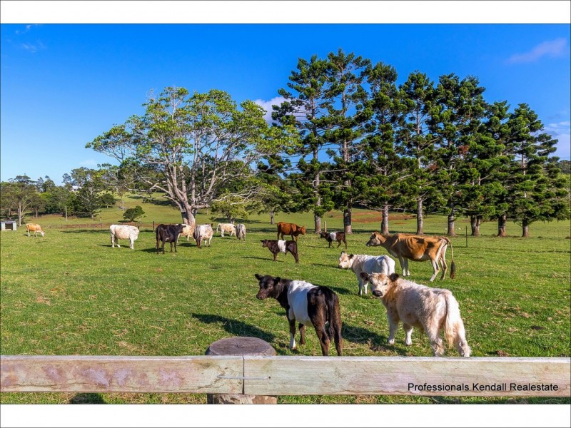 59 Wilson Road, Tamborine Mountain QLD 4272