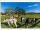 59 Wilson Road, Tamborine Mountain QLD 4272